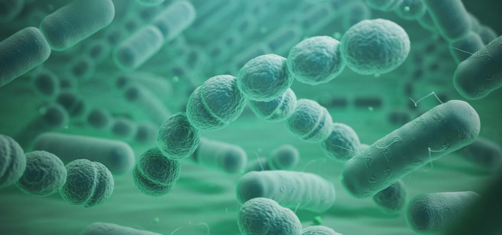 Microbiome bacteria render